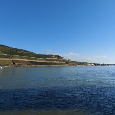 le ciel bleu, les vignobles et le Rhin